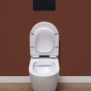 Aquanet Cetus