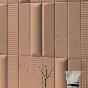 Biscuit - 6