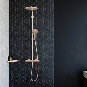Hansgrohe Raindance Select S