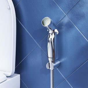Damixa Shower Program
