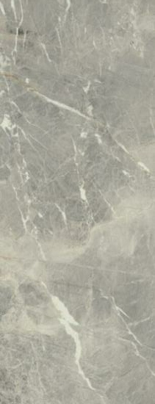Porcelanite Dos 1330 Rectifiicado Gris 50x129.5 ID 482262 - 1