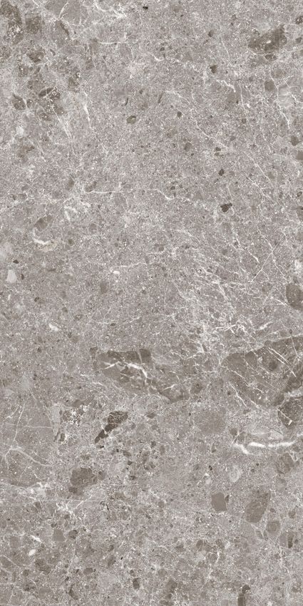 Coverlam Artic Gris 60x120 ID 540991 - 1
