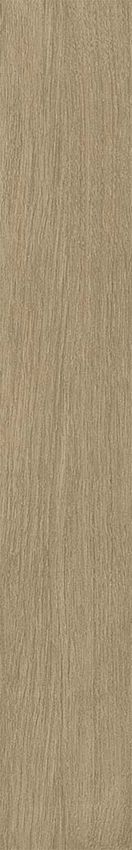 Ribesalbes Bremen Sherwood 10x60 ID 570083 - 1