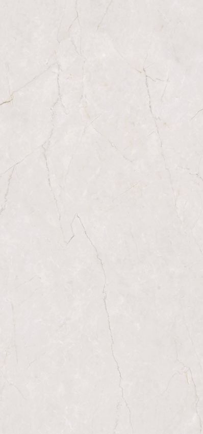 Belleza Cason Grey 60x120 ID 533685 - 1
