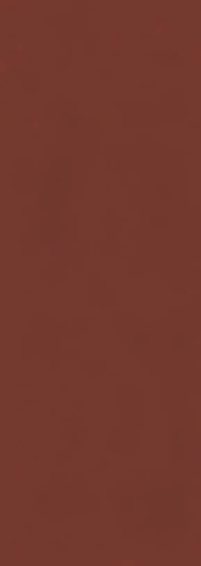 APE Cloud Red 35x100 ID 461941 - 1