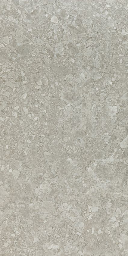 Pamesa Cr Ceppo Gris 60x120 ID 399224 - 1