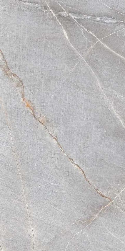 Belleza Denis Silver 60x120 ID 533689 - 1