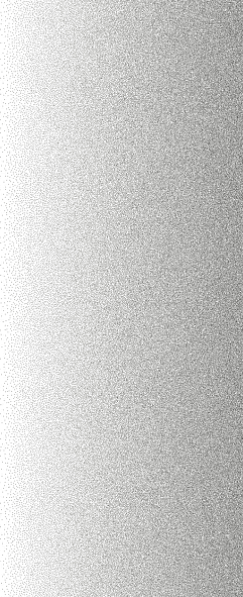 Laminam Rus Dots Horizontal 50 30x100 ID 529977 - 1