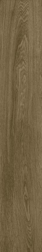 ColiseumGres Ducale Пэппер Рет 20x120 ID 556774 - 1
