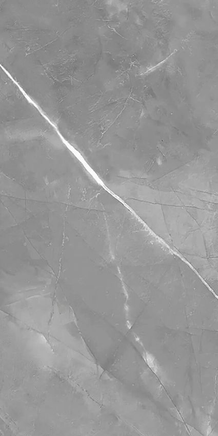 Geotiles Elbert Gris Matt 60x120 ID 536250 - 1