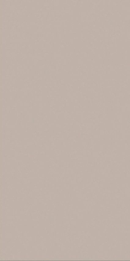 Belleza Eva Pearl 60x120 ID 533695 - 1