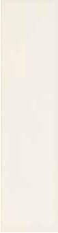 Equipe Evolution Cream Brillo 10x40 ID 303135 - 1