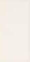 Equipe Evolution Cream Brillo 7.5x15 ID 303110 - 1