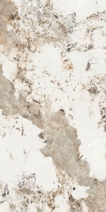 Belleza Forest 60x120 ID 533698 - 1