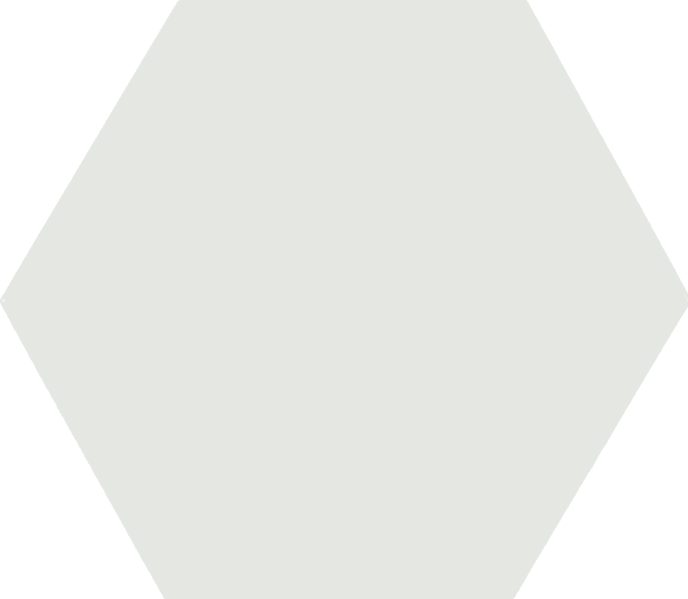 Pamesa Fiume Hex Beige 19.8x22.8 ID 516706 - 1