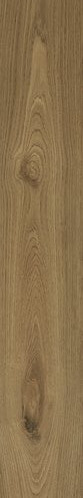 APE Koen Miele 20x120 ID 455338 - 1