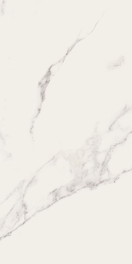 APE Mandalay Matt. White 60x120 ID 555624 - 1