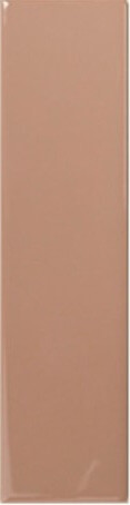 DNA Tiles Match Tan Gloss 6.2x25 ID 536345 - 1