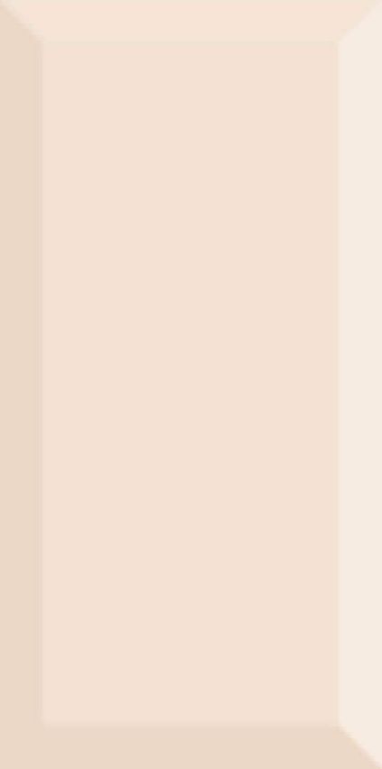 Absolut Keramika Monocolor Biselado Brillo Cava 10x20 ID 293998 - 1