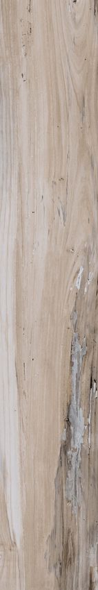 ABK Nest Beige 20x120 ID 342080 - 1