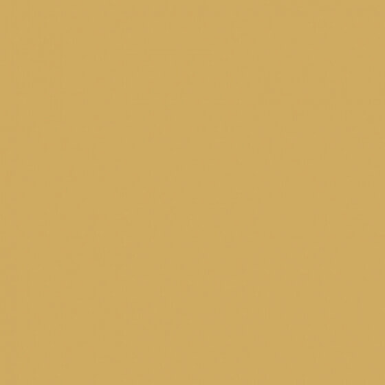 41zero42 Pixel41 Curry 11.5x11.5 ID 457499 - 1