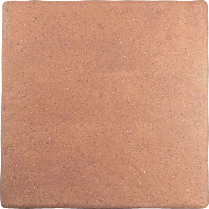 Wow Roots Cotto 22x22 ID 479225 - 1