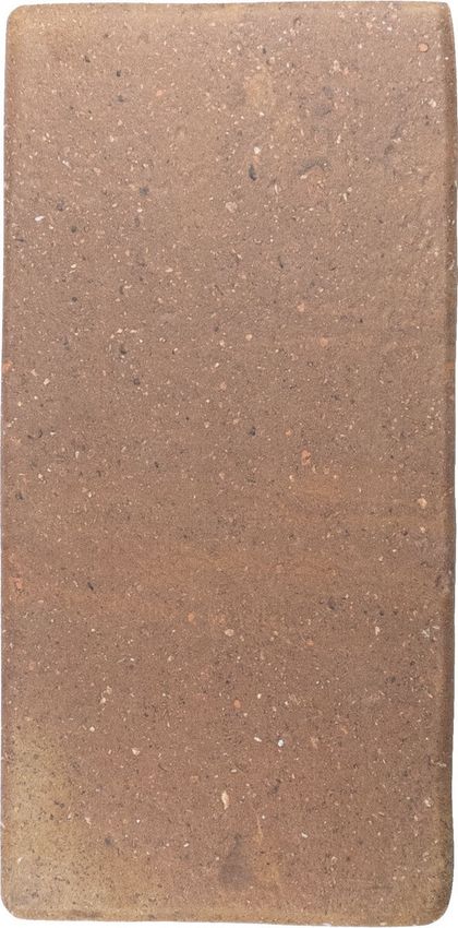 Wow Roots Rust 11x22 ID 479229 - 1