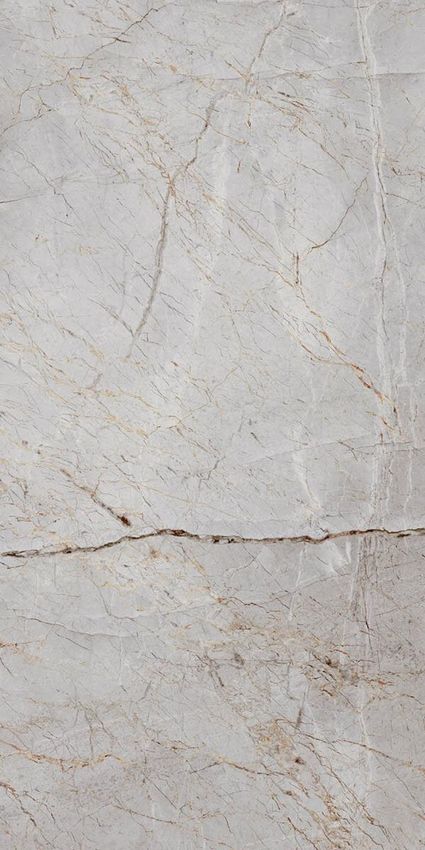 Laparet Silver Root 60x120 ID 465961 - 1