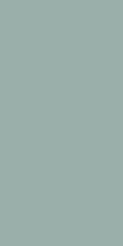 Staro Slim Monocolors Silver Spring 60x120 ID 481981 - 1