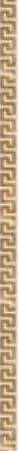 Versace Solid Gold Listello Greca Cream 2.5x60 ID 396305 - 1
