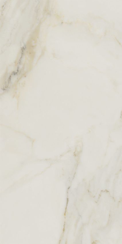 APE Supreme Marble Pol Rect 60x120 ID 549697 - 1