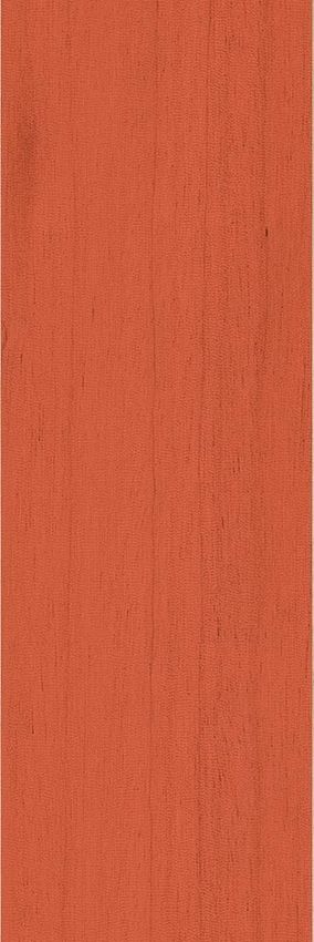 41zero42 Technicolor Cardinal 5x37.5 ID 375195 - 1