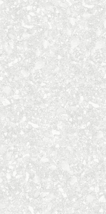 Delacora Turin Light 60x120 ID 520761 - 1
