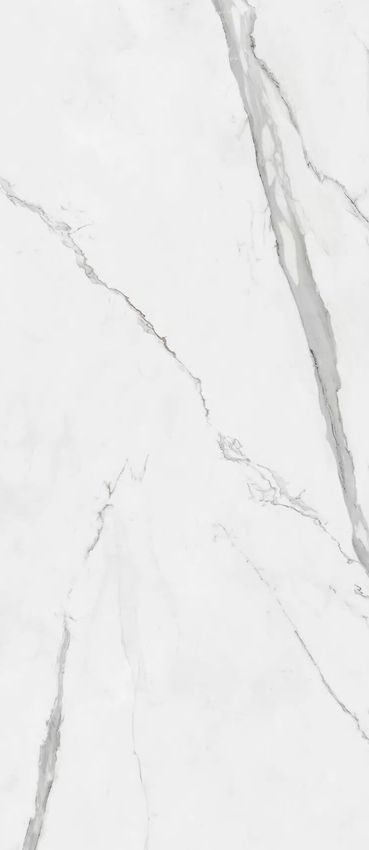 Pamesa XXL Cr.Cellini Blanco Pul Rect 120x260 ID 504756 - 1