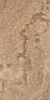APE Agate Sunset Lap 60x120 ID 495935