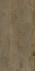 Idalgo Armor Bronze 60x120 ID 570719