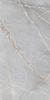 Belleza Denis Silver 60x120 ID 533689