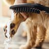 Душевая лейка Hansgrohe DogShower - 5