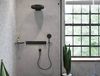 Душевая лейка Hansgrohe Rainfinity