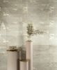 Cir & Serenissima Fossil Crema Matt 60x120 ID 482520