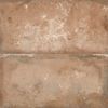 Peronda Fs Storia Natural-2 22.3x22.3 ID 550538