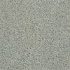 Casalgrande Padana Granito 1 Arkansas Technic R10 20x20 ID 458117