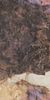 APE Magallanes Pink Pol Rect 60x120 ID 548853