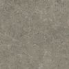 Grigio Elegante Velvet 120x120