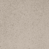 Imola Ceramica Parade PRDE 120AG RM 120x120 ID 514754