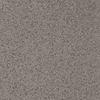 Imola Ceramica Parade PRDE RB120G RM 120x120 ID 514773