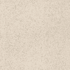 Imola Ceramica Parade PRDE 120W RM 120x120 ID 514751