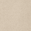 Imola Ceramica Parade PRDE 120A RM 120x120 ID 514753