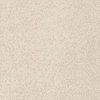 Imola Ceramica Parade PRDE 120W LV 120x120 ID 514780
