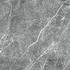 Гранитея Payer Black 60x60 ID 563303
